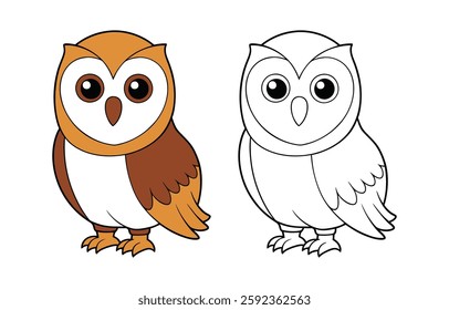 Elegant Barn Owl Coloring Illustration Design