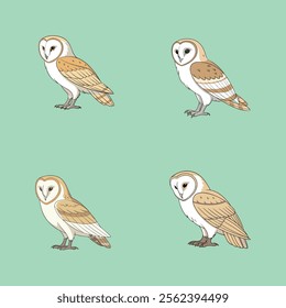 Elegant Barn Owl vector illustration, perfect for prints, designs, and decor.