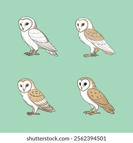 Elegant Barn Owl vector illustration, perfect for prints, designs, and decor.