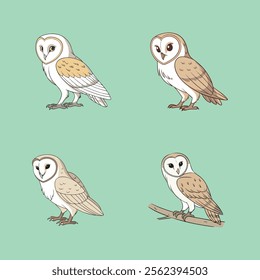 Elegant Barn Owl vector illustration, perfect for prints, designs, and decor.