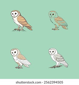 Elegant Barn Owl vector illustration, perfect for prints, designs, and decor.