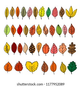 Elegant and beautiful autumn leaves and elements. Bright images for Thanksgiving Day
