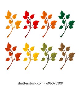 Elegant and beautiful autumn leaves and elements. Bright images for Thanksgiving Day