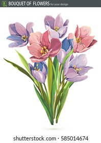 Elegant Beautiful bouquet of crocuses flowers, isolated on white background. Floral arrangement illustration with spring blossoming crocus flower. Greeting easter, happy Mothers and Womens Day card