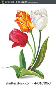 Elegant Beautiful bouquet of tulips flowers, isolated on white background, eps8