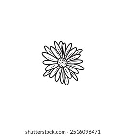 An elegant and beautiful daisy chrysanthemum flower in black isolated on white background. Hand drawn vector sketch illustration in doodle engraved vintage line art style. Coloring book, plant