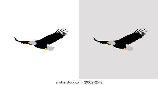 Elegante y hermoso vector de ilustración del águila