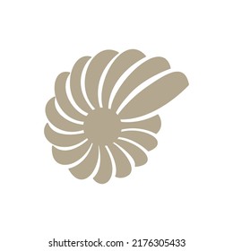 elegant beauty seashell logo design vector illustration