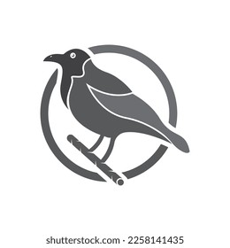 Elegant bird logo icon design and symbol vector template