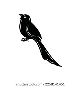 Elegant bird logo icon design and symbol vector template