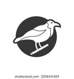 Elegant bird logo icon design and symbol vector template