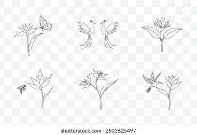Elegant Bird of Paradise Flower Line Art Vector Set for Intricate Floral Illustrations and Designs