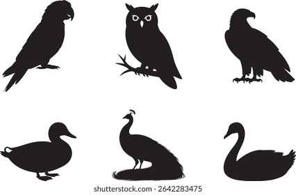Elegant Bird Silhouette Collection for Design