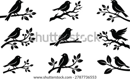 Elegant bird silhouettes on leafy branches. Decorative avian vector elements for garden and spring theme projects.