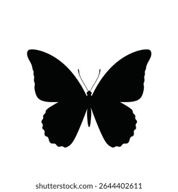 Design elegante borboleta preto silhueta.