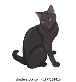Elegant black cat. Cute cat sitting. Flat illustration isolated on white background for your design. Nice pet.