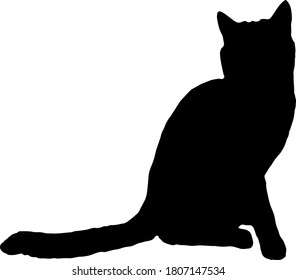 Elegant Black Cat Silhouette Vector Stock Vector (Royalty Free) 1807147534