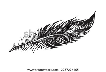 Elegant Black Feather Illustration on white