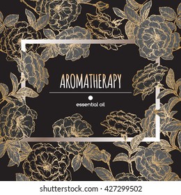 Elegant black and golden frame template with Damask rose sketch. Aromatherapy series. Great for traditional medicine, perfume design, cooking or gardening.