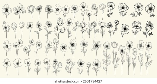 Elegant black line art of anemone flowers for luxury branding, modern wedding invitations, personalized stationery, trendy greenery, botanical floral branch, hand-drawn herbs, decor.