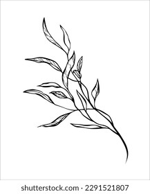 Elegant black line art of a branch leaf. Vector illustration. Doodle style. Outline illustration with green colors. For design, print, logo, decor, textile, paper.
