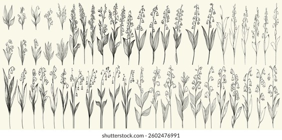 Elegant black line art of lily of the valley with feminine botanical floral branch for vintage wedding invitations, personalized decor, classic branding, and trendy greenery, floral artwork