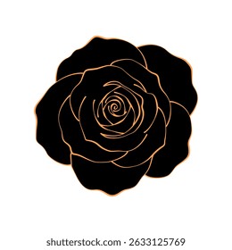 elegant black rose flower with gold outline. vector illustration on white background.