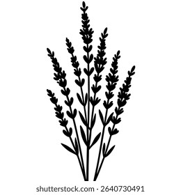 Elegant black silhouette of lavender flowers on a pristine white backdrop. This vector illustration depicts a delicate floral arrangement with graceful stems and detailed lavender blooms. 