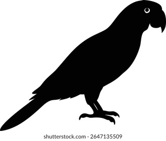 Elegant black silhouette of a parrot bird standing against a clean white background