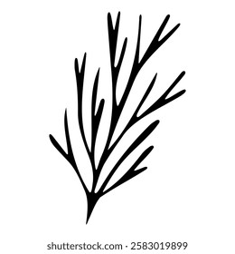 Elegant black and white botanical illustration of delicate branch with flowing lines isolated on transparent background. Perfect for nature themed designs, prints.