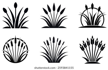 Elegant Black and White Botanical Illustrations of Cattails and Grasses
