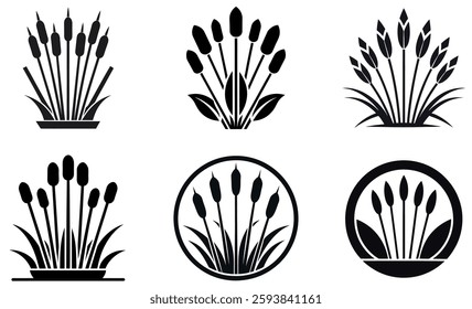 Elegant Black and White Botanical Illustrations of Cattails and Grasses