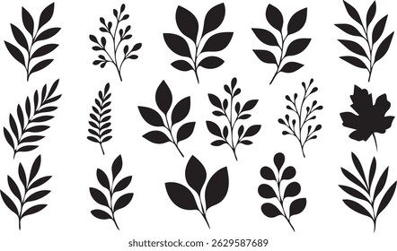 Elegant black and white botanical leafy elements for design projects and nature themes