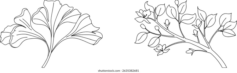 Elegant black and white botanical line art of ginkgo leaf and flowering branch