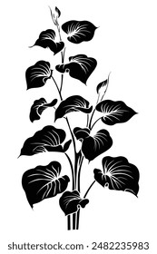 Elegant black and white branch silhouette with detailed leaves, reaching for the sky and bringing a natural touch to any project