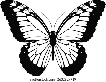 Elegant Black and White Butterfly Design