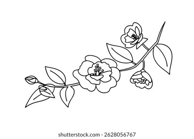 Elegant black and white floral branch with flowers and leaves isolated on white background
