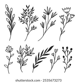 Elegant black and white floral elements with a minimalist style, perfect for nature-inspired designs, invitations, and decorative prints. Simple, hand-drawn botanical line art illustrations