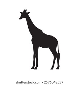 Elegant Black and White Giraffe Vector
