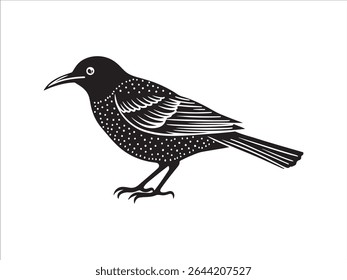 Elegant black and white illustration of a bird with detailed feathered design