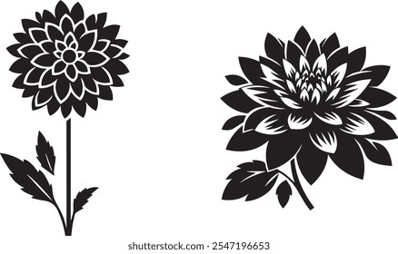 Elegant black and white illustrations of two artistic dahlia flowers, showcasing intricate petal details and natural leaf designs. Perfect for botanical art enthusiasts, tattoo designs projects.
