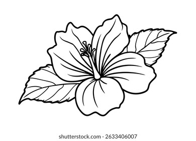 Elegant black and white line art illustration of a beautiful hibiscus flower with leaves