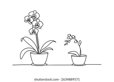 Elegante preto e branco arte linha representando florescendo e brotando plantas orquídeas em potes