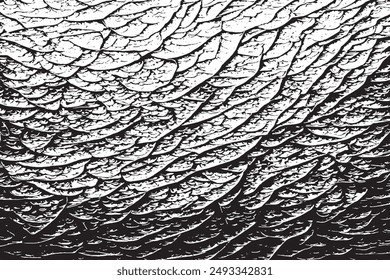 Elegant Black And White Overlay Texture  Versatile Monochrome Illustration 