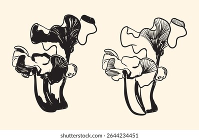 Ilustração elegante preto e branco do cogumelo da ostra no estilo vintage da arte da linha. Ideal para impressões culinárias, etiquetas botânicas, decoração minimalista, embalagens de alimentos e desenhos de marcas orgânicas.