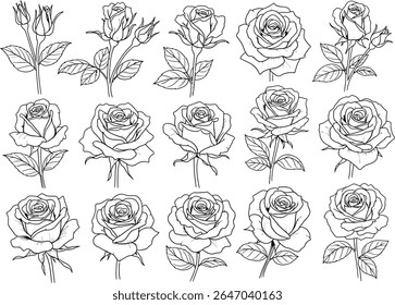 Elegant Black and White Rose Collection A Botanical Illustration Showcasing the Timeless Beauty and Grace of Various Rose Blooms