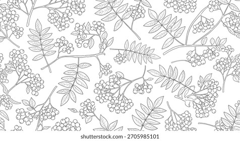 Elegante patrón transparente en blanco y negro de ramas de rowanberry dibujadas a mano con hojas detalladas y racimos de bayas.