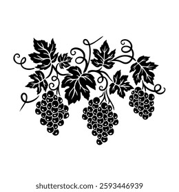Elegant black and white vector illustration of a grapevine with leaves and grape clusters. Perfect for wine labels, decor, packaging, and vineyard branding. Classic, vintage botanical design.