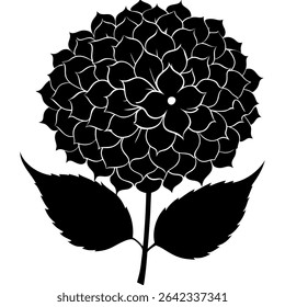 Elegant black and white vector illustration presents a detailed hydrangea flower in full bloom. This botanical artwork showcases the delicate petals and intricate leaves of the floral subject.