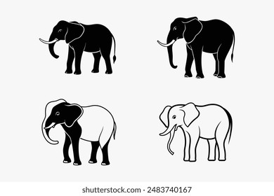 elegant black and white vector silhouette